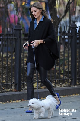 OliviaPalermoNOV12110104 OliviaPalermoNOV12110104